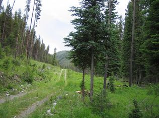 9747 W Fork Rd, Darby, MT 59829