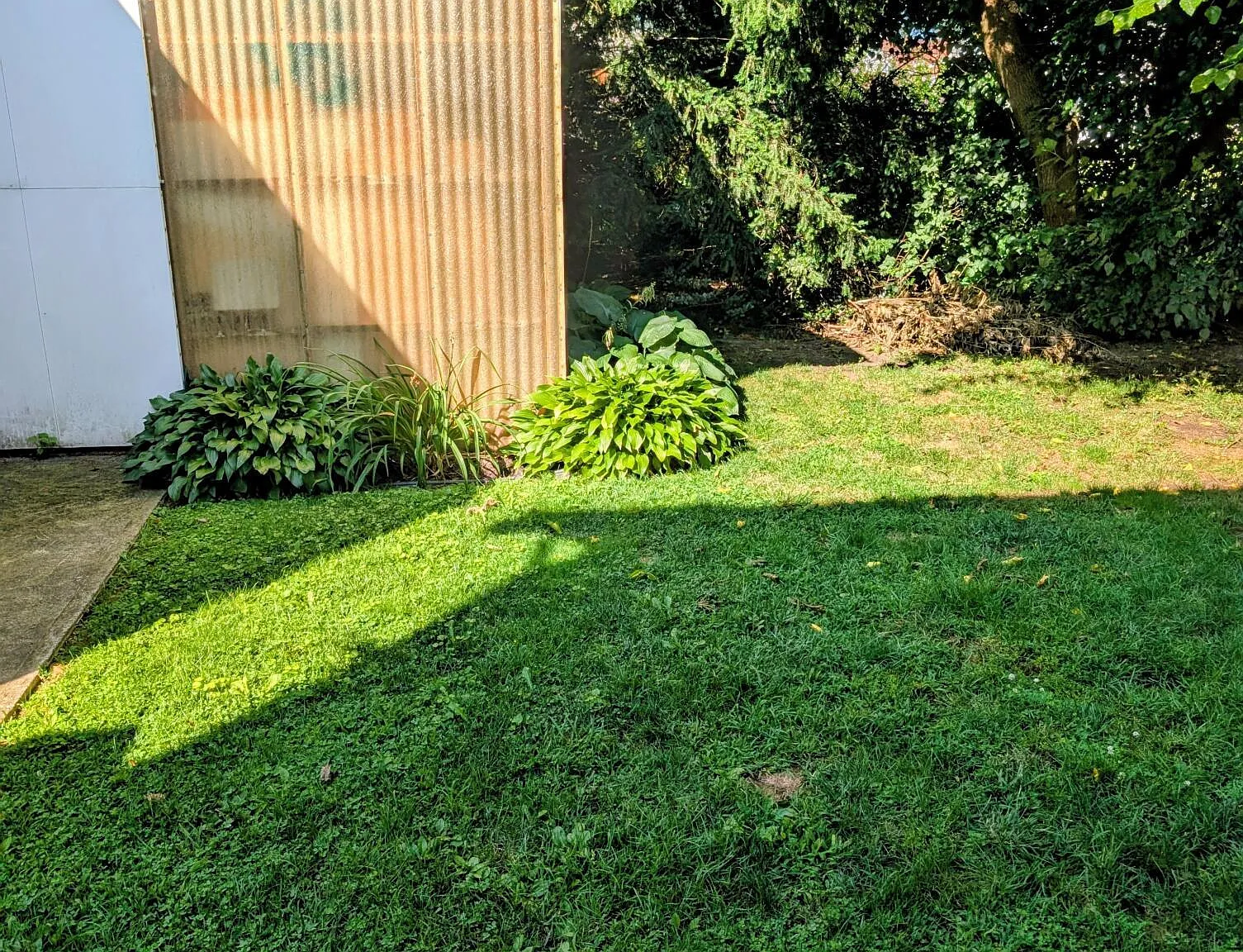 1 bed, 510 sqft, $800 — Photo 3