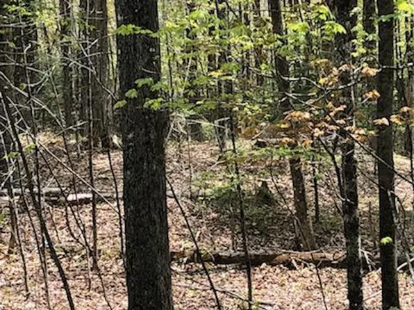 Lot 19 Shore Road, Dexter, ME 04930