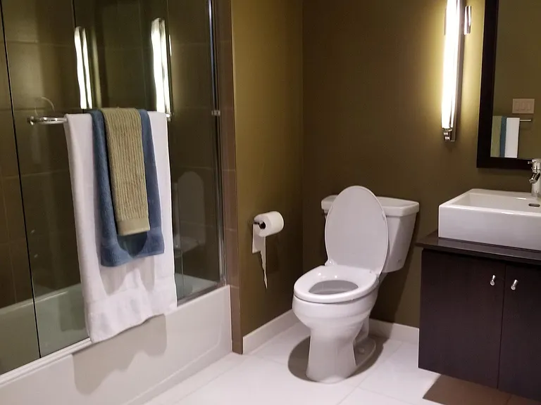 Guest Bath