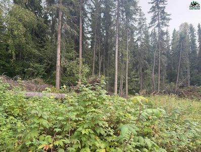 285 Terrace Dr, Fairbanks, AK, 99712