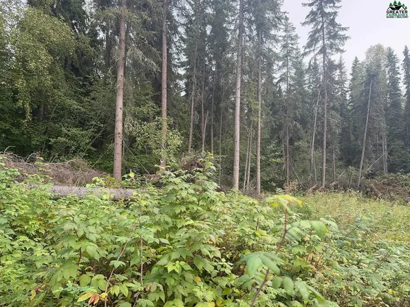 285 Terrace Dr, Fairbanks, AK 99712