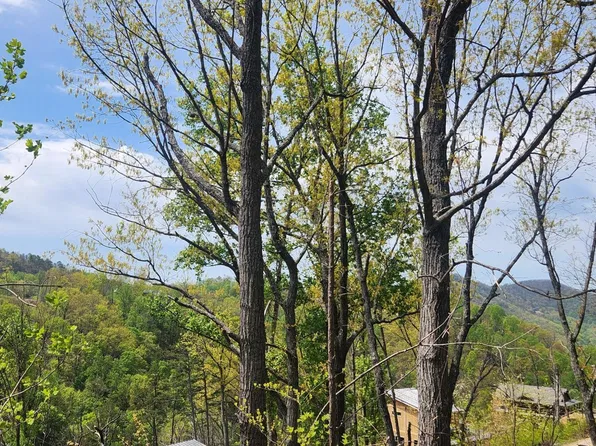 1516 Headrick Lead Lot 15&16, Sevierville, TN 37862