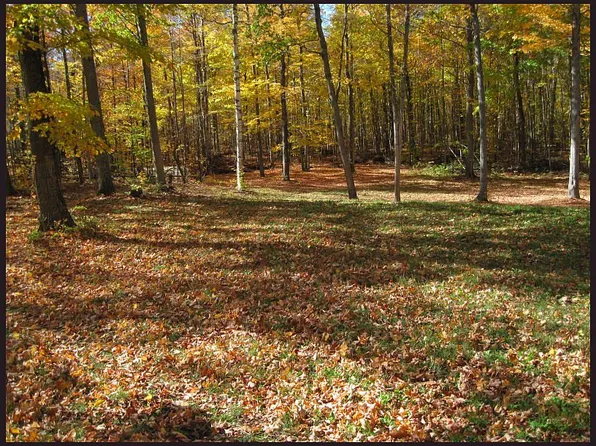 11099 Island Dr E, Fish Creek, WI 54212