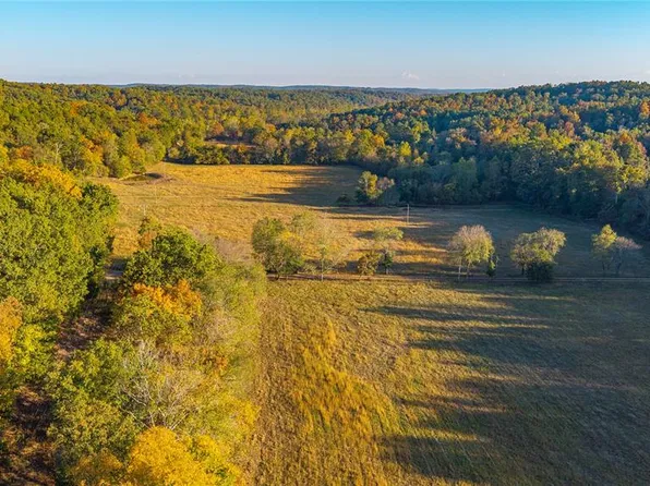 0 Wayne 352, Piedmont, MO 63957