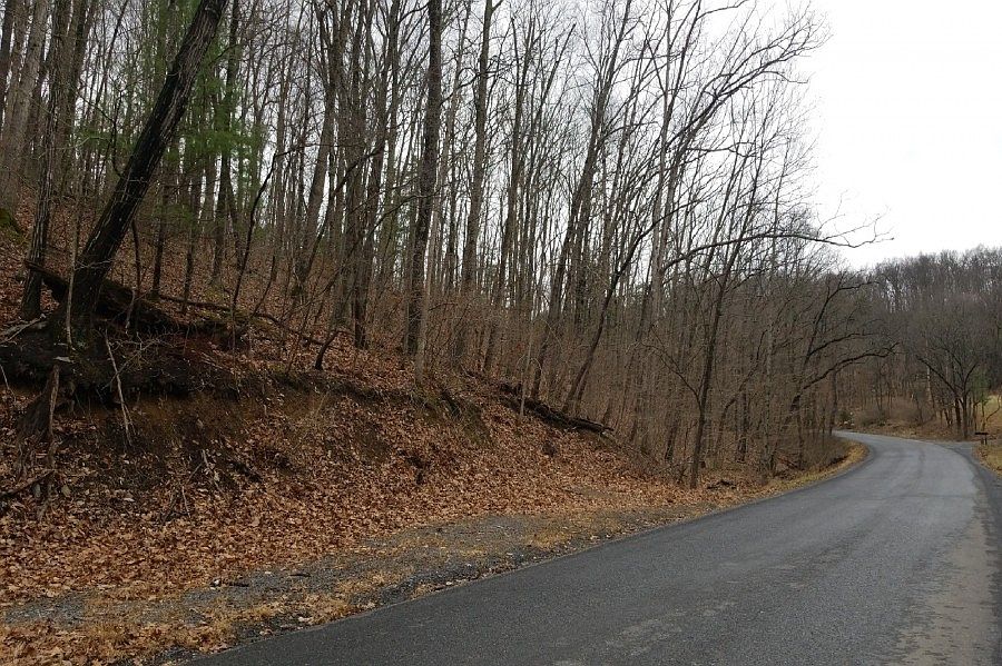 2nd image of 995 Pack Horse Rd