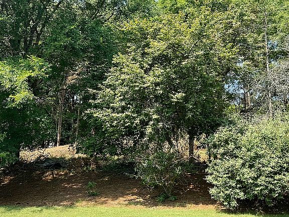 4th image of 9014 Elrose Pl