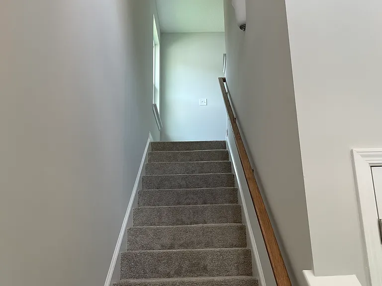 151 Coneflower Ct — Photo 13
