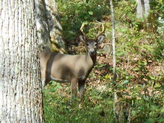 5th image of 17532 Phillips Rd