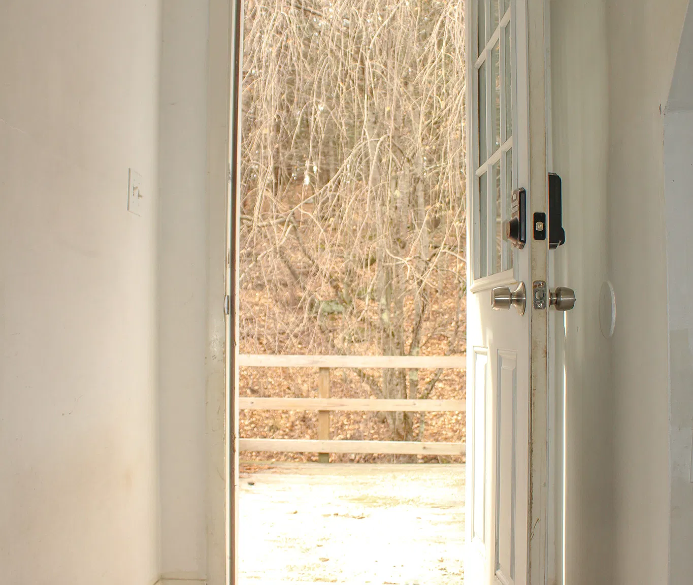 2 bed, 800 sqft, $1,300 — Photo 2