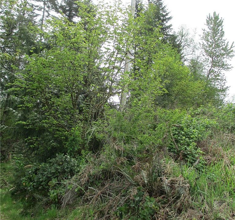 2nd image of 180 SE 224th St