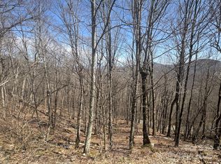 14 & 16 Overlook Dr, Mars Hill, NC 28754