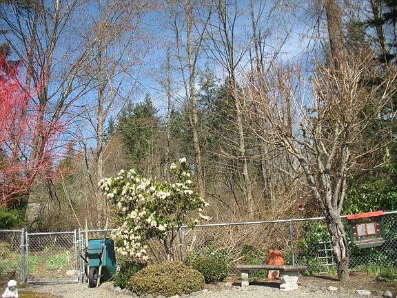 2nd image of 12513 152nd Street Ct E