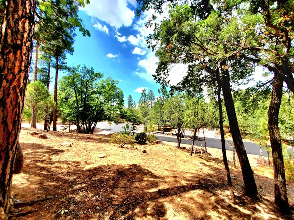 LOT 19 N Strawberry Holw, Pine, AZ 85544