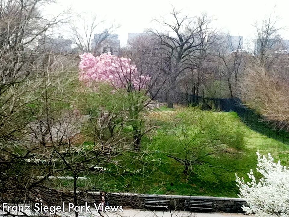 Stunning Park Views