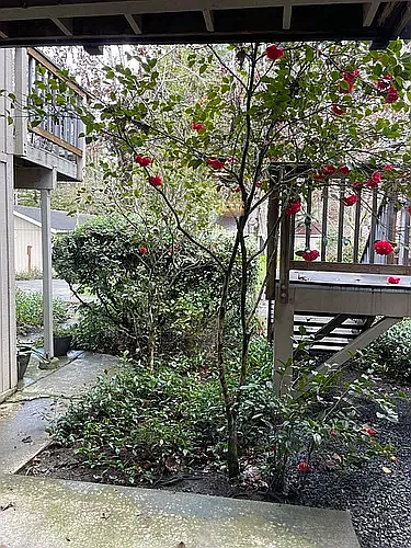 North Dutton Place Apartments — Photo 21