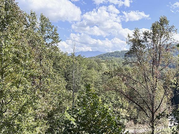 2nd image of 4319 Forest Ridge Way