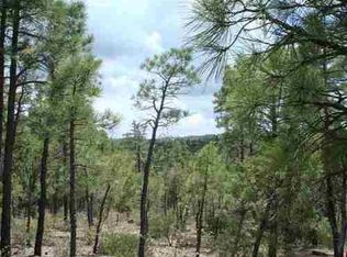1161 E Pine Oaks Dr, Show Low, AZ 85901