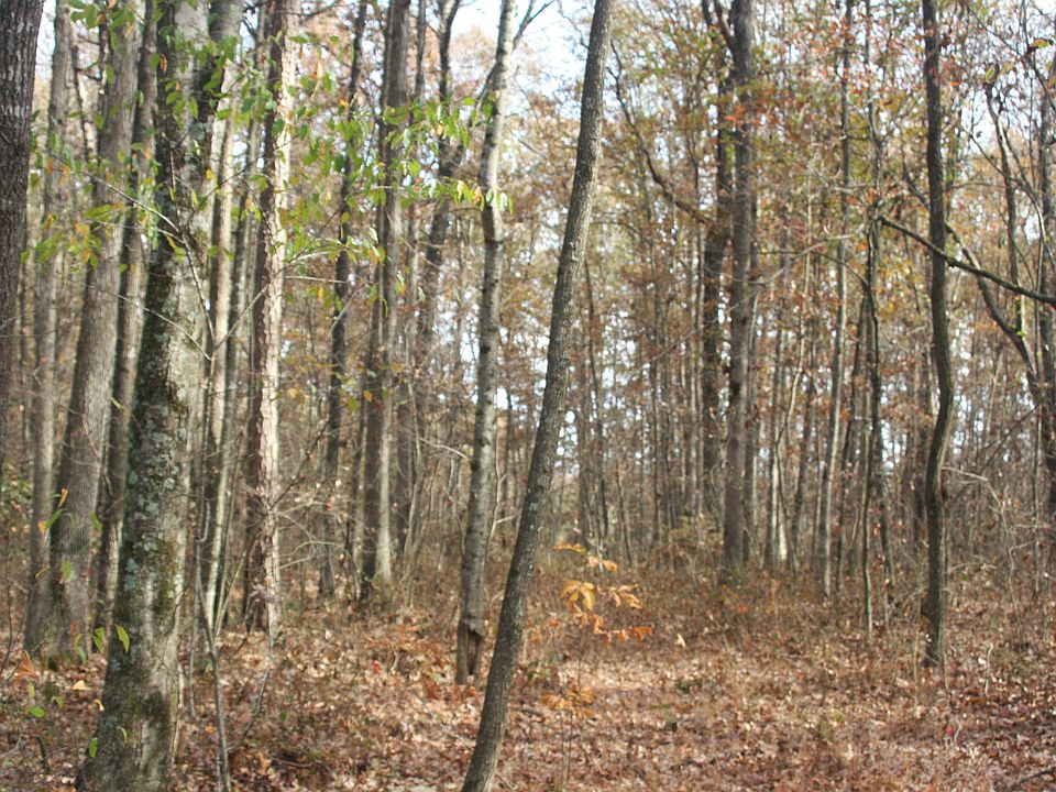 2nd image of Lynn Leigh Loop