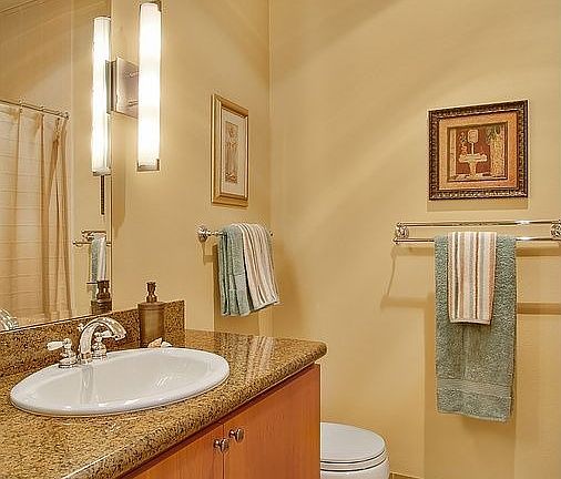 Luxury Guest Bath