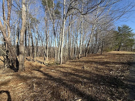 3rd image of 12 N Taxiway Dr