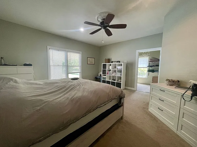 217 Golden Maple Dr — Photo 8