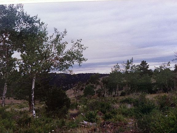 4th image of Bobcat Trl