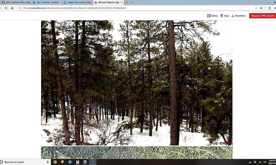 Trees, trees, beauty