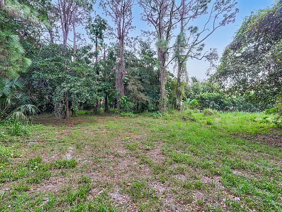 3rd image of 11320 Palm Tree Lane