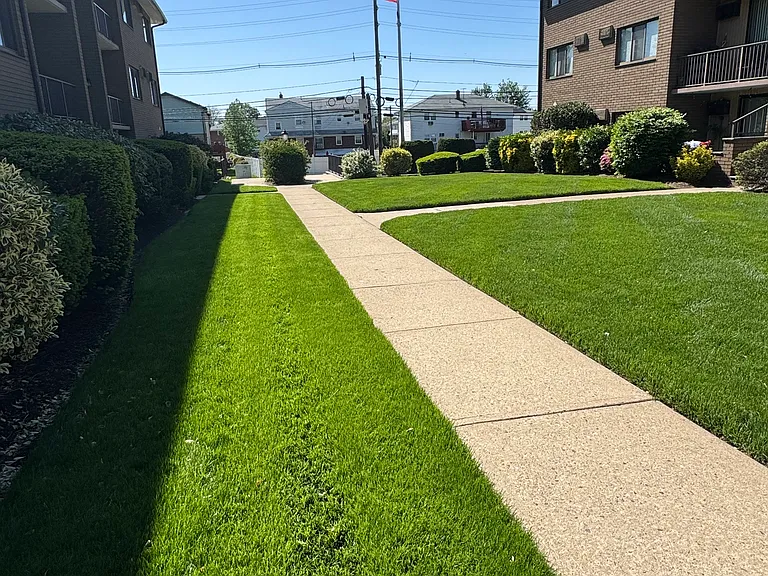 460B Liberty St #208 — Photo 9