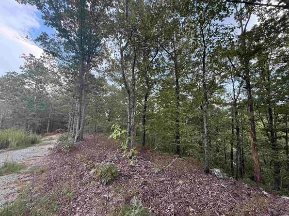 321 Plata Holw, Royal, AR 71968