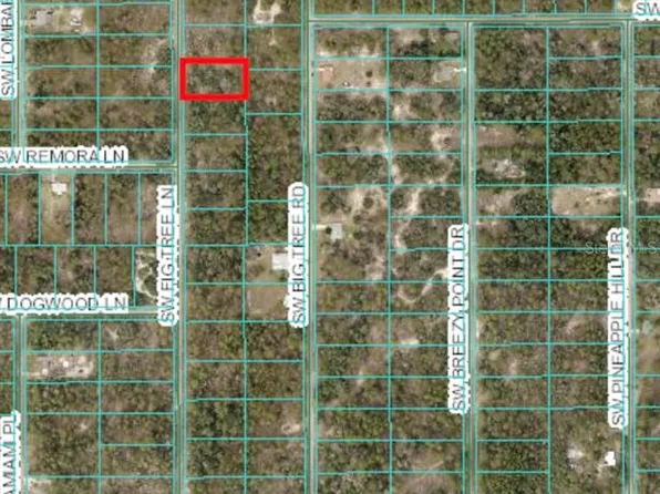 SW Fig Tree Ln #8, Dunnellon, FL 34431