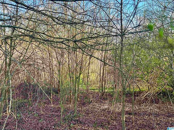 5th image of 0 County Road 504 #0