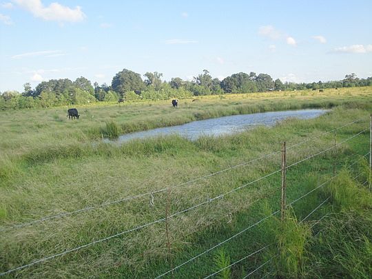 2nd image of 1745 Fm 1004 Rd W