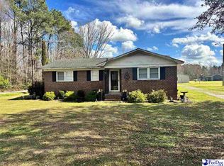 704 S Jones Rd, Olanta, SC 29114