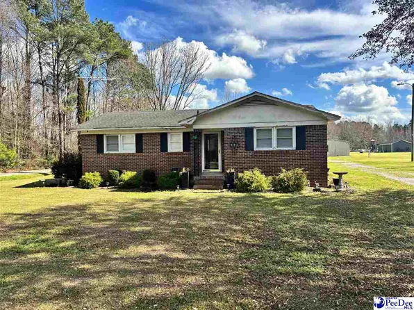 704 S Jones Rd, Olanta, SC 29114