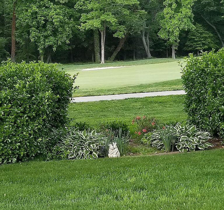 Golf course views 