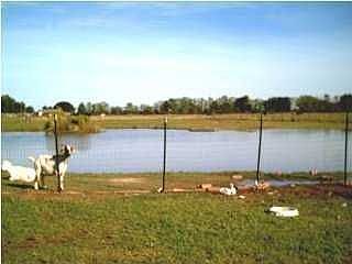 2nd image of 2027 Fuselier Rd