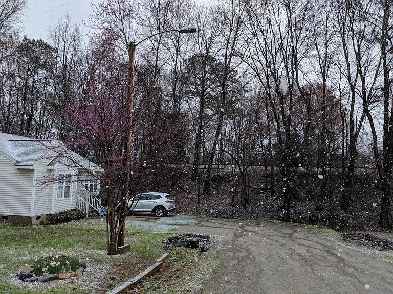 Snowfall on Dunn Avenue