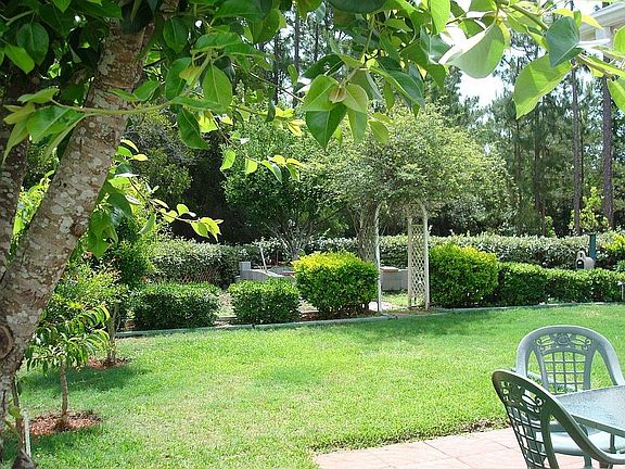 Lovely, private backyard with fruit trees.