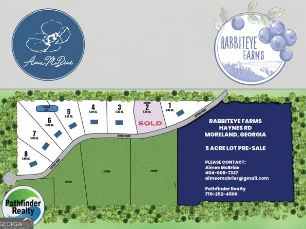 LOT 2 Haynes Rd, Moreland, GA 30259