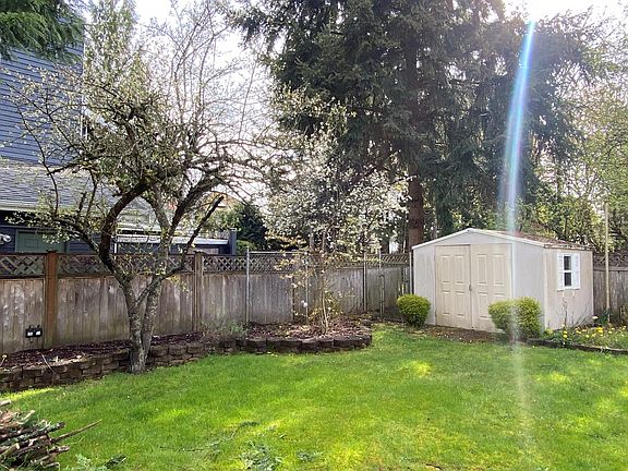 Backyard with vinyl shed and plum tree