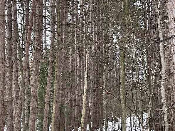 Brave Rd, Howard City, MI 49329