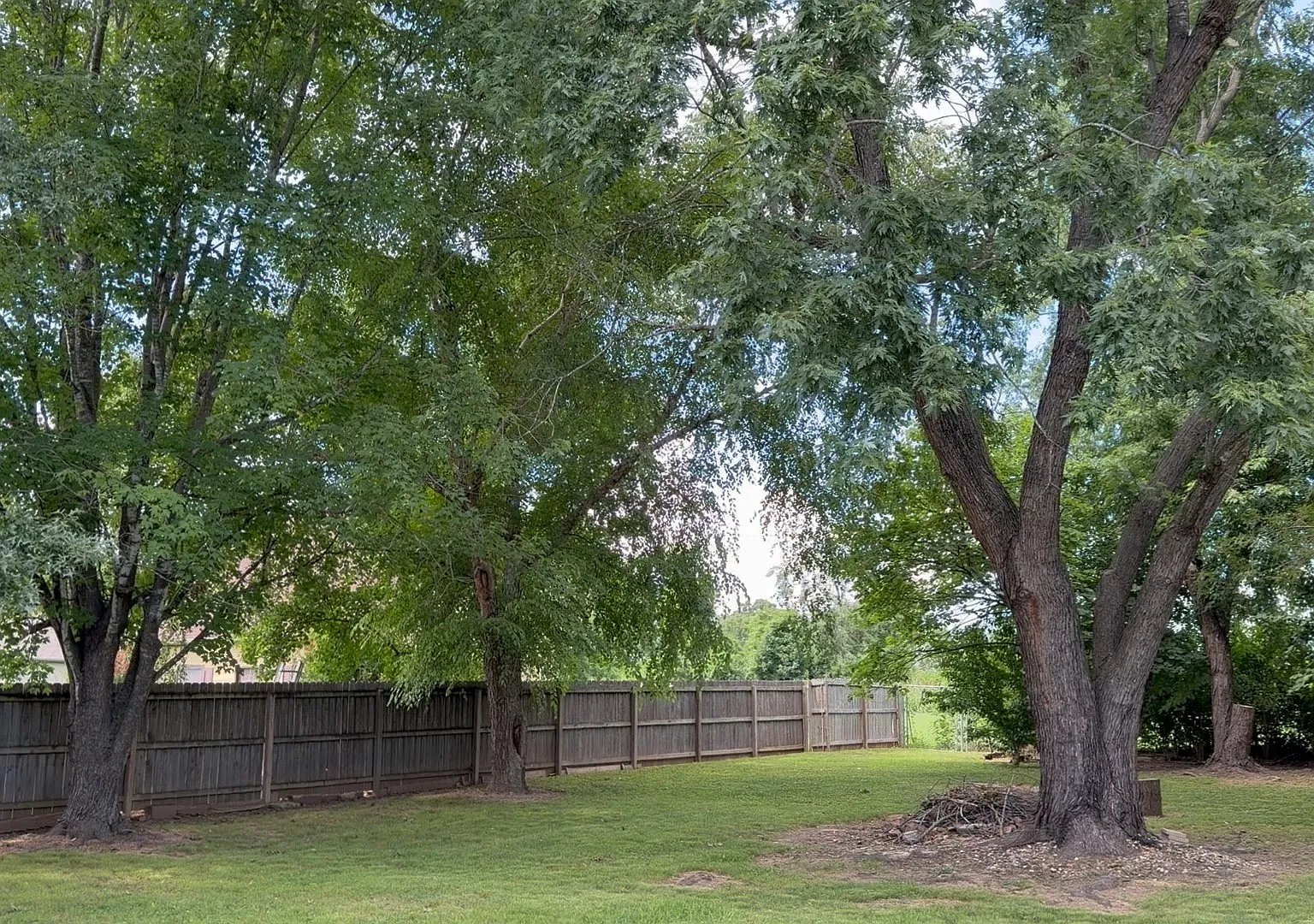 2 bed, 1668 sqft, $1,500 — Photo 2