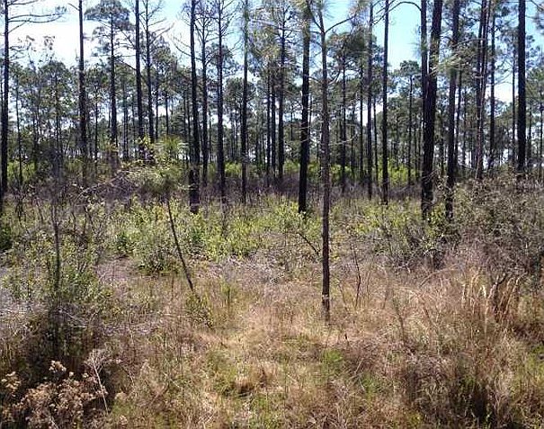 1st image of 2609 Scallop Ln