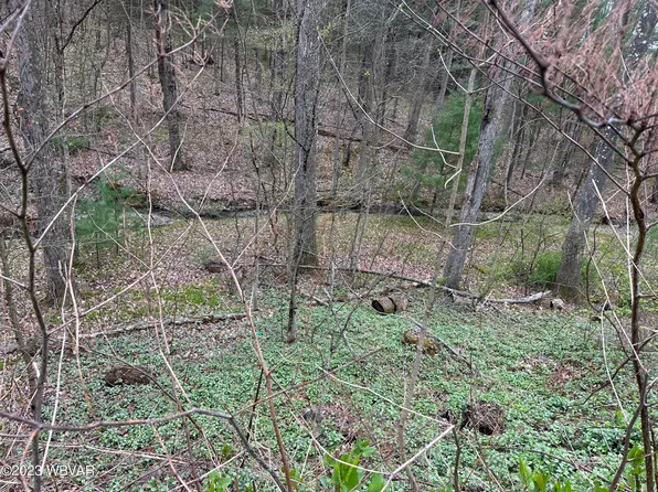 25 S Mountainview Dr, Lock Haven, PA 17745