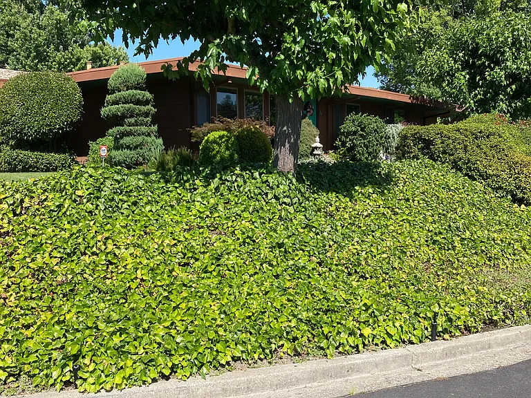 21 Freitas Dr — Photo 2