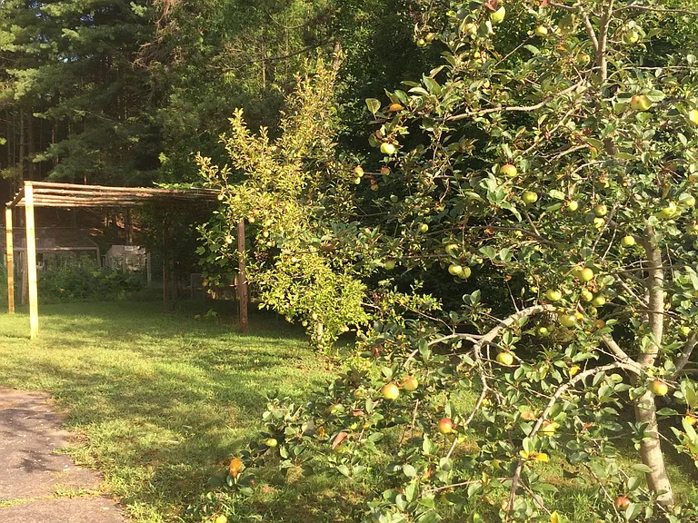 6 Pleasant Park Cir — Photo 8