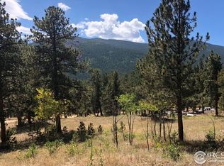 356 County Road 107e, Allenspark, CO 80510