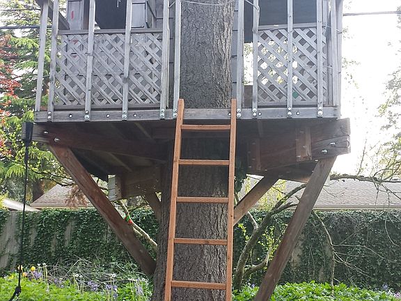 Tree House
